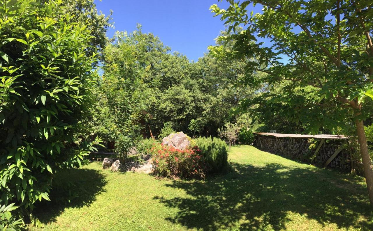 Ecolodge Les Sentiers Du Lac - Domaine De La Gaia Sorèze Exterior foto